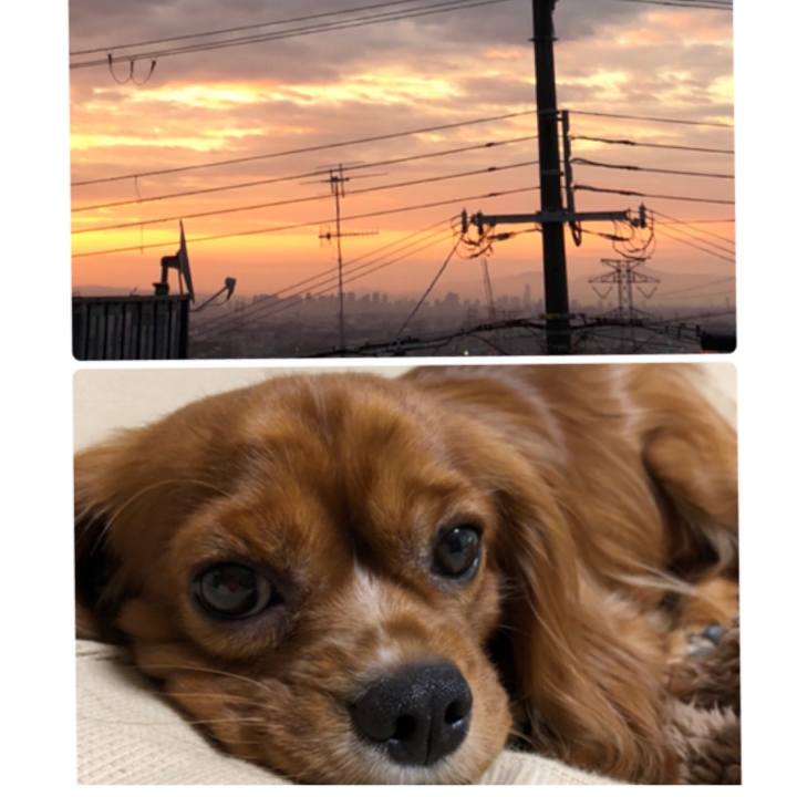 E94c24a9 b1ee 41ac adb3 5dc5f7cac571 1539727780184