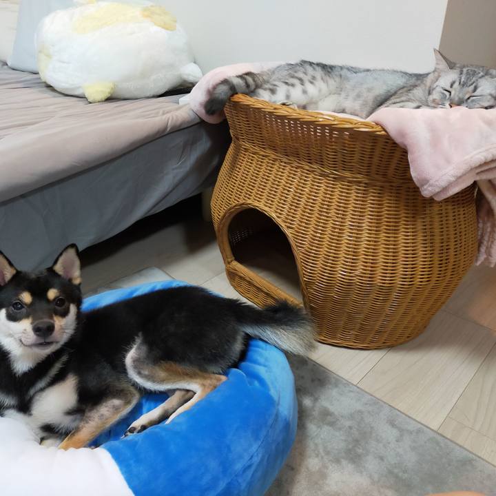 E94c3181 23e1 443b 849b a396595955d3 1598495056358