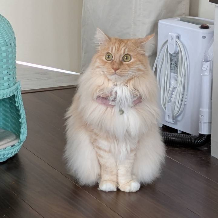 E94c68bd 3ec0 406e 9ed0 ac50d60146c2 1747358684275