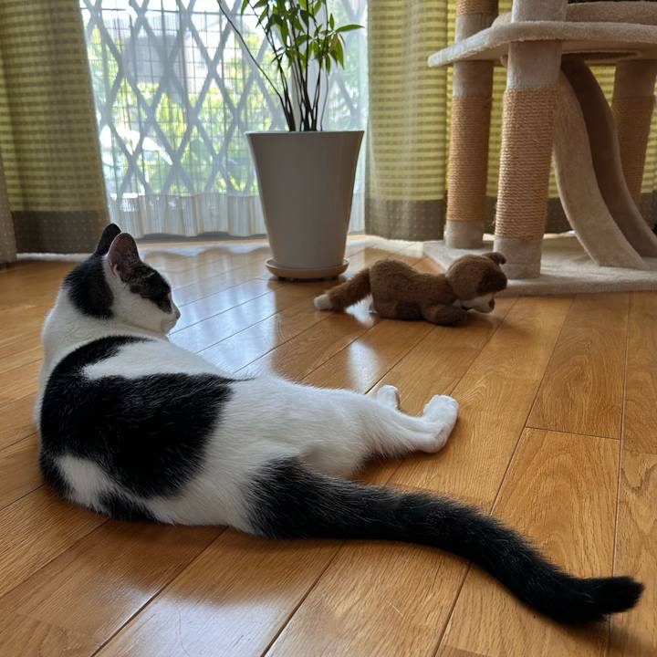 E94c7715 f830 4abf 80e5 ae2797f40786 1718779700623