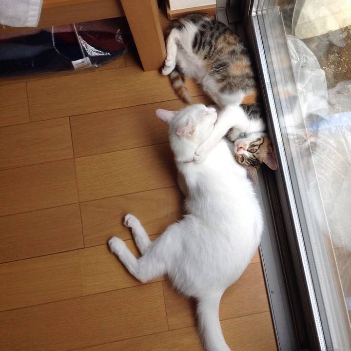 E94c7e60 1cb7 4260 b934 170243d6f719 1629874419156