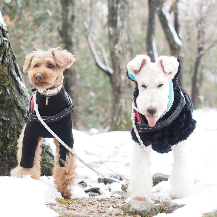 E94c9650 4843 49ab 91ce 950a420365e6 1581245360303