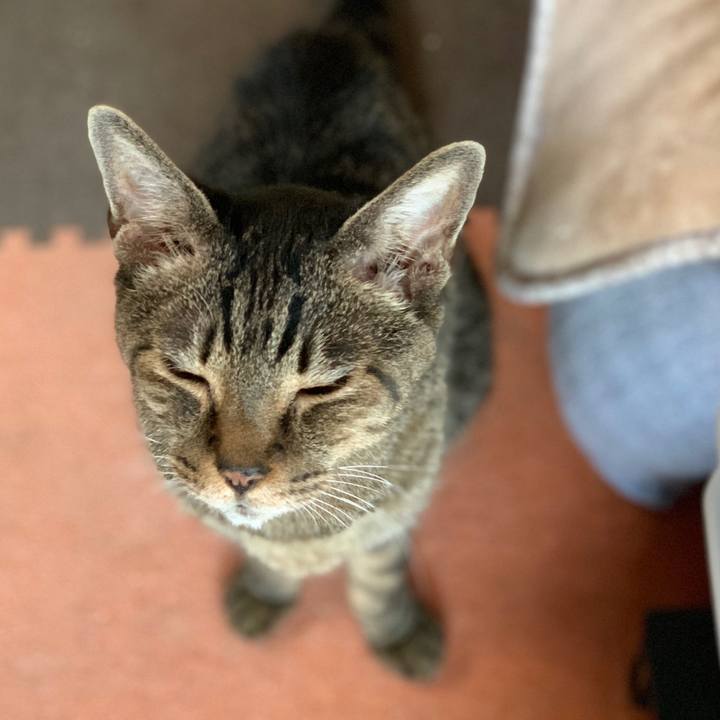 E94c97c7 5f9f 4e86 be92 cc4837d982cd 1597452705516