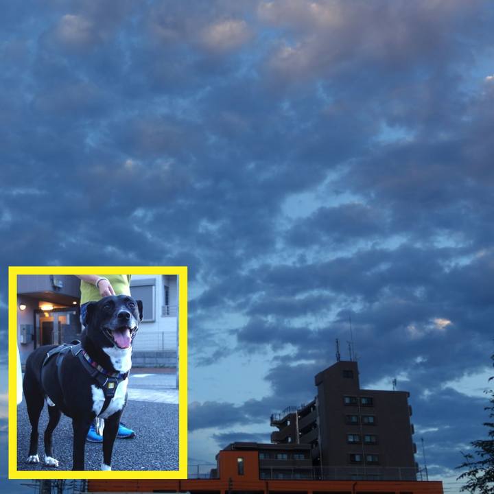 E94d2dd6 26f1 4954 8560 5e9acdef3eca 1658919185708