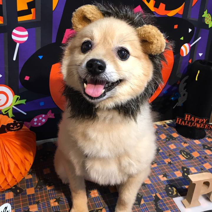 E94d6fa4 240b 4908 852d c1ad742d1a74 1573643691389