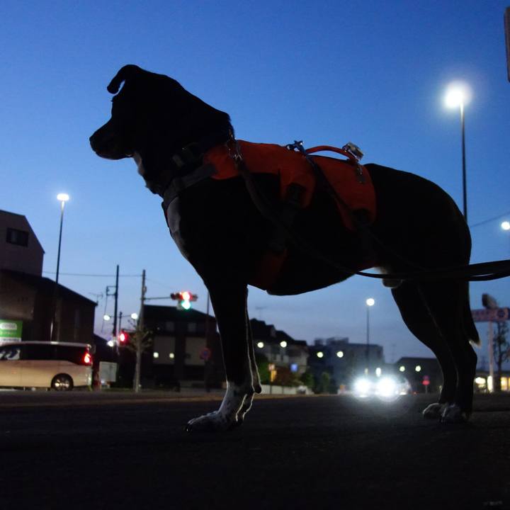 E94d7380 2e68 4c24 a975 4e36e43169a1 1713524980811