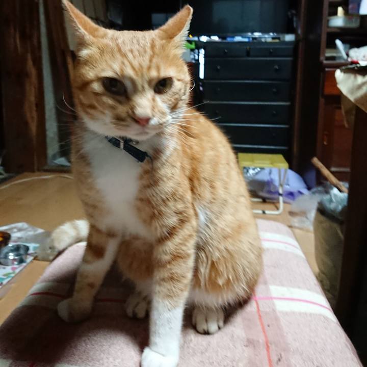 E94db78b 5976 43d3 9a2c f0b90bb323ac 1601326103129