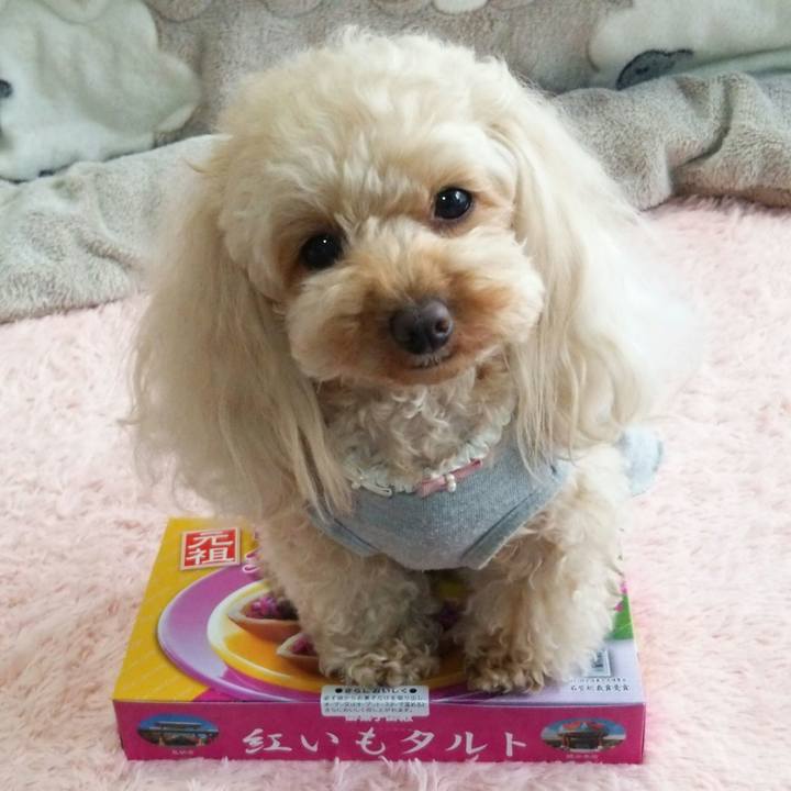 E94e22f1 8b3c 47f2 85b7 f54b8a7ef663 1523966936514