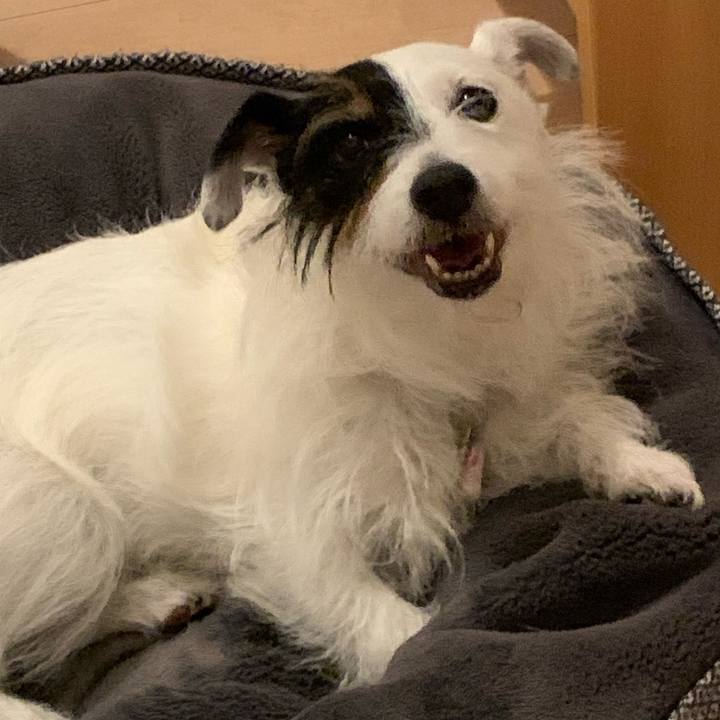 E94e349b 1212 4fda 8220 7616b4945136 1659965094296