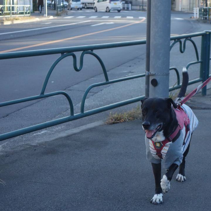 E94ebbc3 633c 4c39 9987 d645c43d31a9 1702084077465