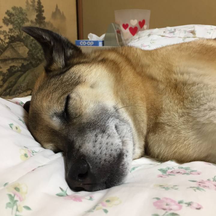 E94ebf6c 02af 4d5f a6e4 43aef2b85280 1526998951287