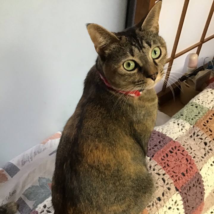 E94ef870 1dad 4680 afe5 ec5fc17bac93 1607412932351