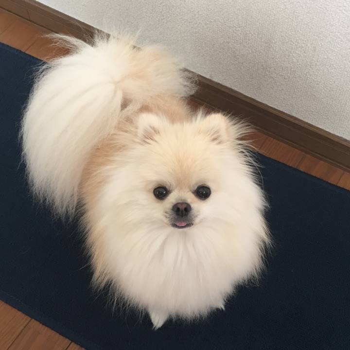 E94ef95b 849d 45f4 b8b2 853595005bca 1509073911036