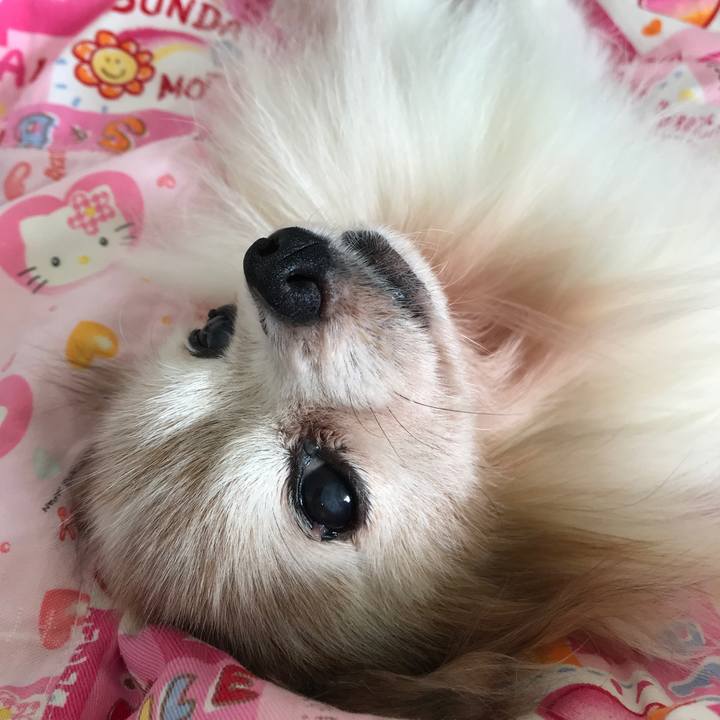 E94f1f89 bbc5 493a be54 7894a197f863 1531129127563