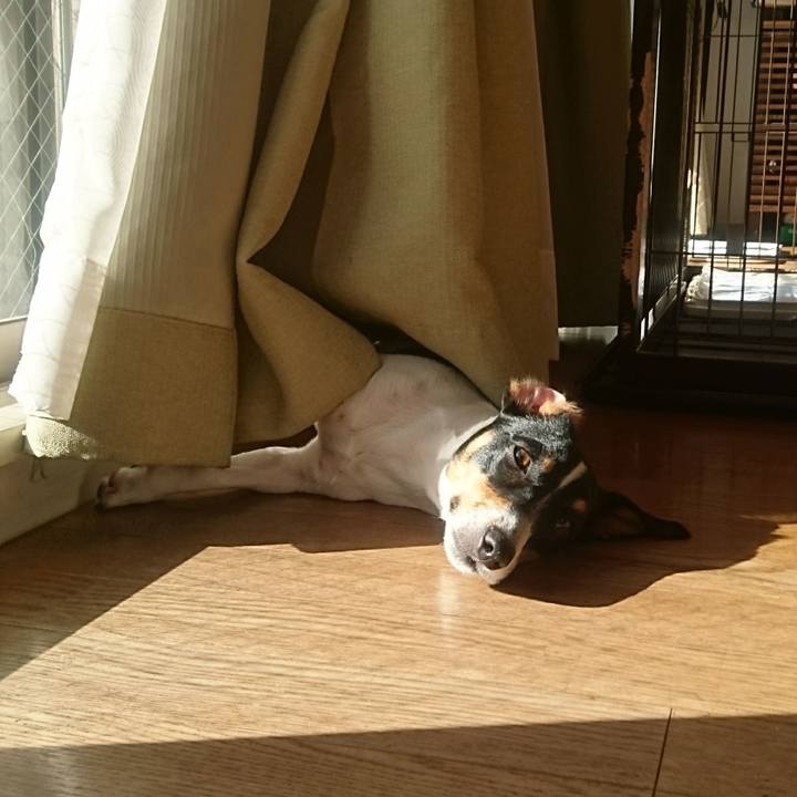 E94f4544 051f 46b0 9956 2bd3fd70e747 1544840190345