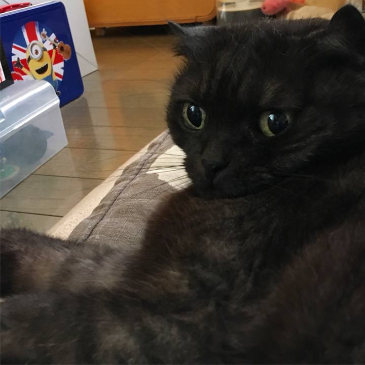 E94f5e1f 5593 4d0b a877 230c14e13d26 1530076092917