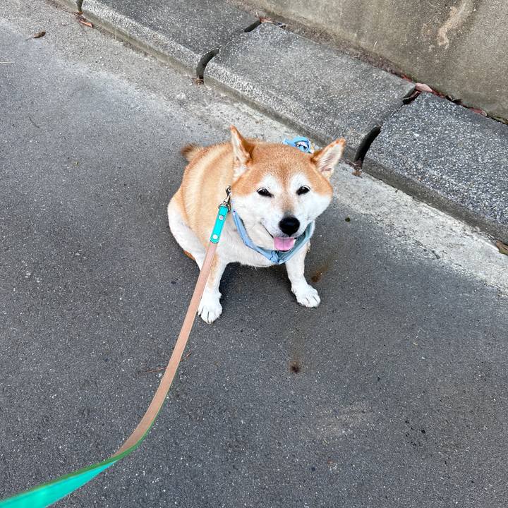 E94f72e7 c68f 461e bfd1 a68222d8dda9 1726789121549