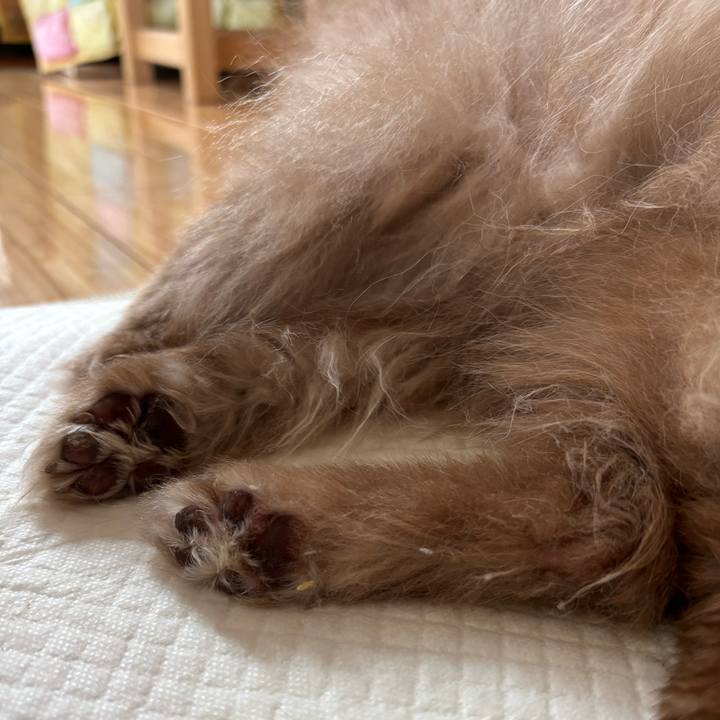 E94f79ea e716 4ab9 b9f3 a62fb1571a50 1774163835888