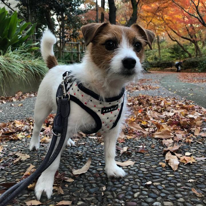 E94f7da4 549a 401b b872 7e7b4e38005e 1545637476675