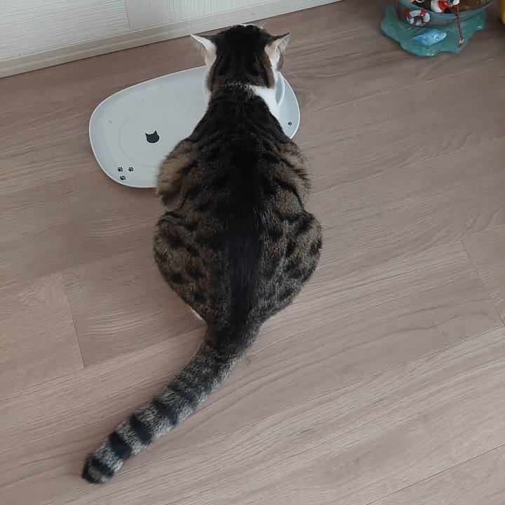 E94fa43f 8840 4e04 9526 d492435efe31 1624484610847