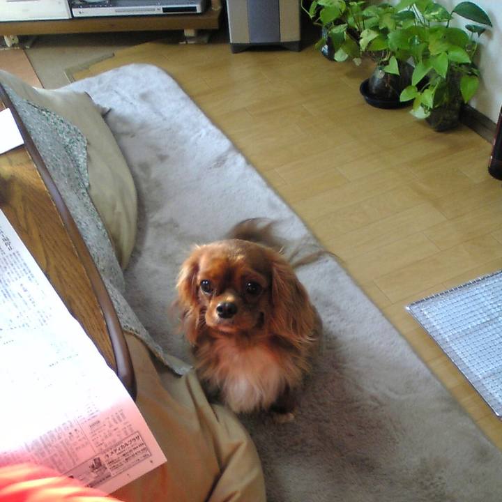 E94faf78 ef1e 4ab3 a054 8ea49a72ee5e 1514024899743