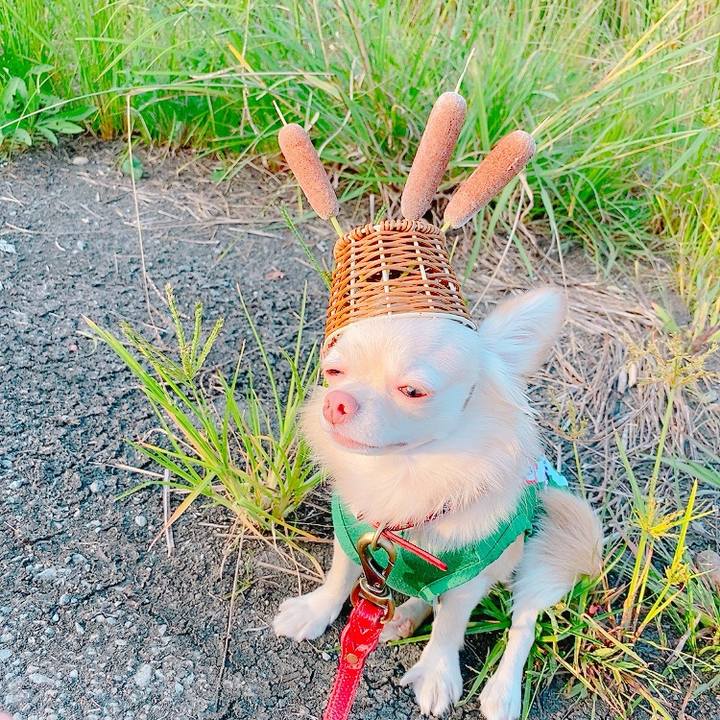 E94fbc79 c036 474a 8ae2 62b88c85ba60 1633874254664