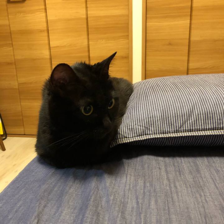 E94fc681 dbb7 4bf1 885e a15c98bbb48d 1513961141825