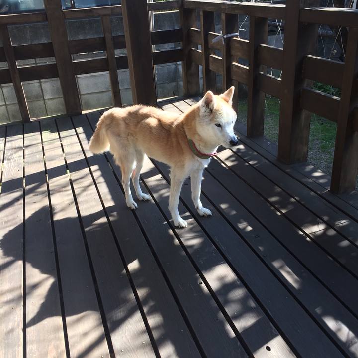 E94fcb5f 7d55 47de ae22 894587415ba0 1580358134118