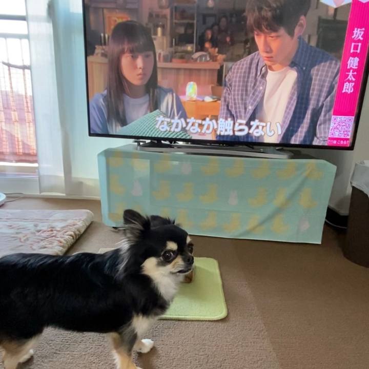 E94fd6c1 8b36 49c4 ba51 3c194f750f90 1632440766811