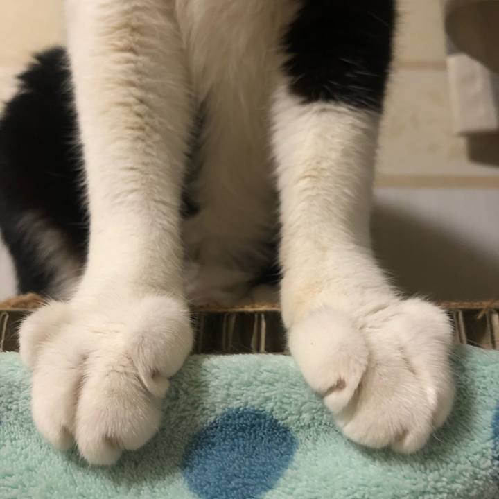 E94ff32c 4b7a 448e 9799 306d0feceeb9 1599251924108