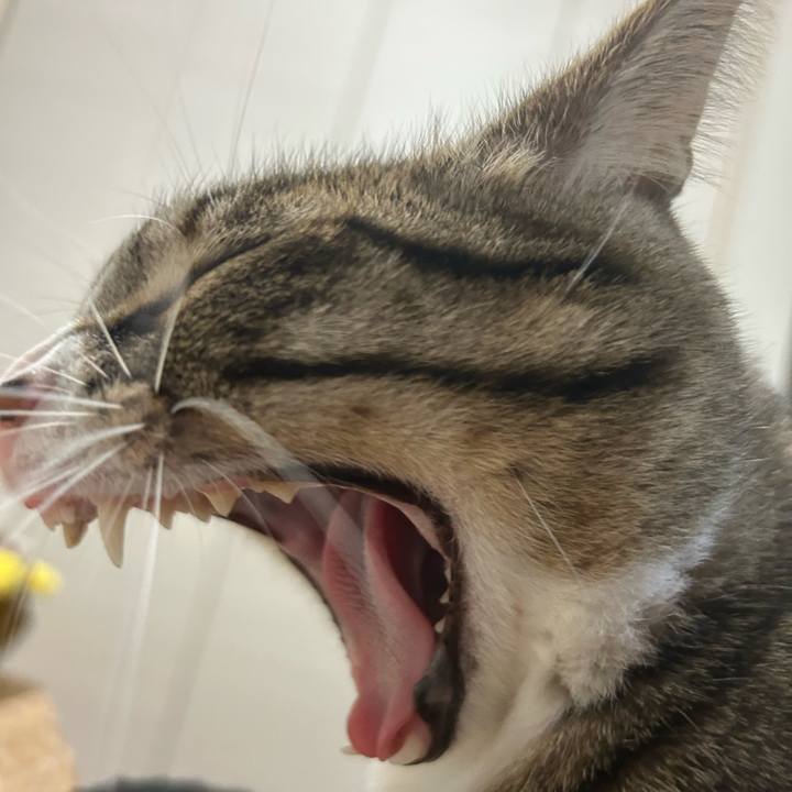 E9504fe7 190b 43c6 b609 ce58b3431d72 1772886114611