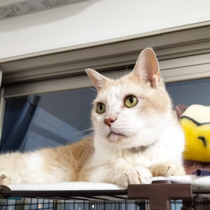 E9510ba4 0409 4db1 a805 746c56e67c8b 1689509671526