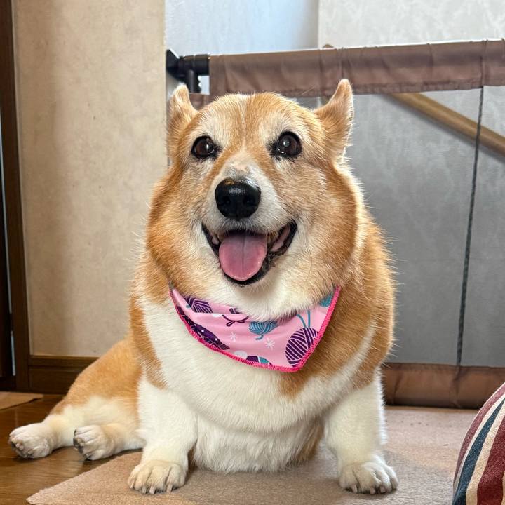 E9510d50 e224 4e4f a43a 66e17919f342 1768790265823