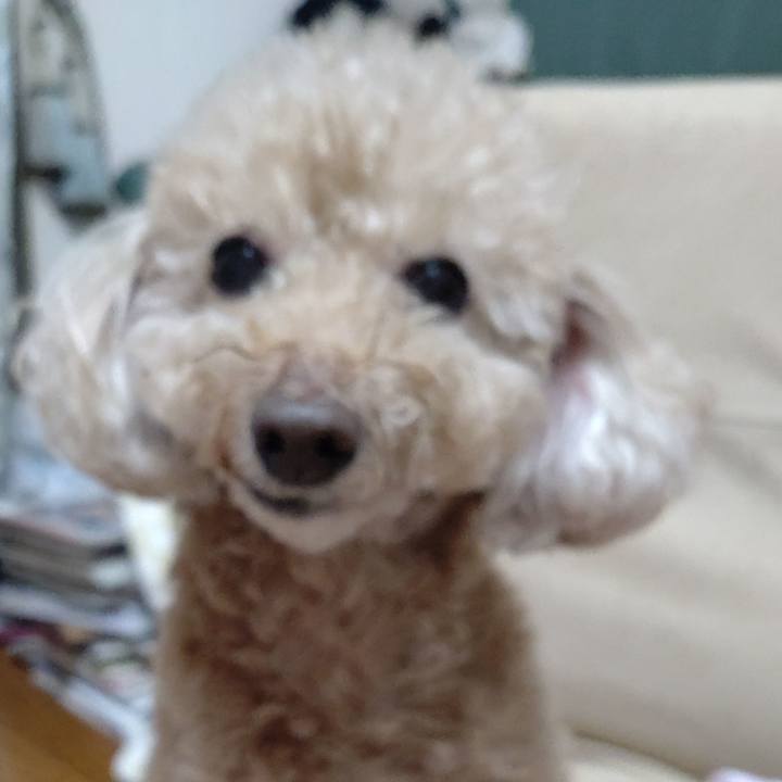 E951153f 8c8a 45a4 b78c 6ed9ffd2433a 1638670095244