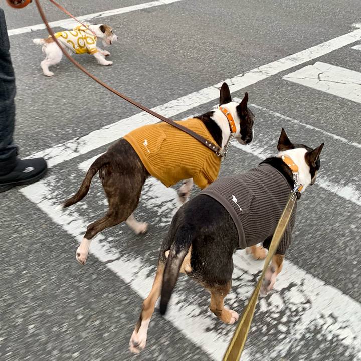 E9514bf3 5e1c 427f a283 3187d370a396 1607773162633