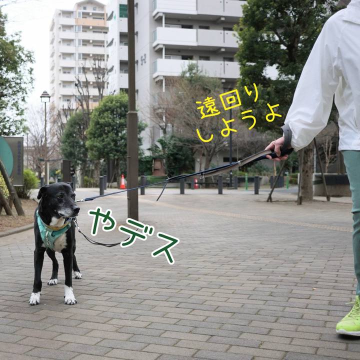 E95157eb 294c 4a04 94ec 4e637f27cea8 1773881174197