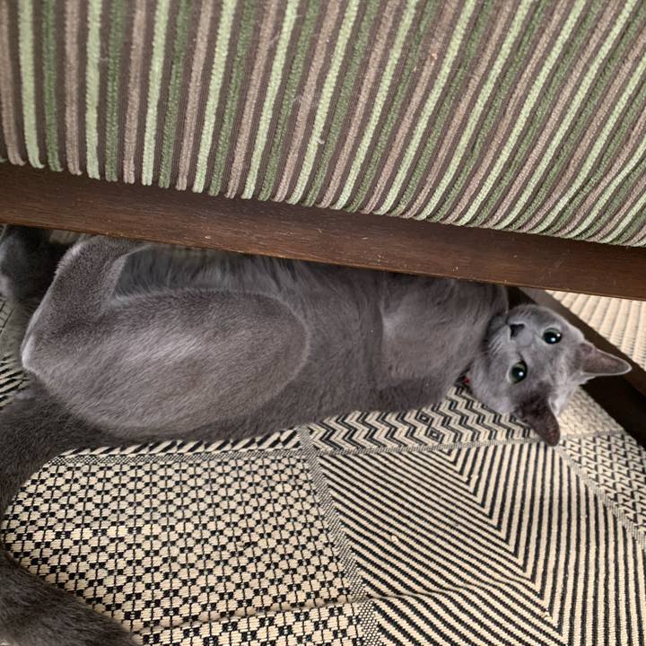 E9515cce 8c25 468a a901 fd282daa2fd7 1608704012474