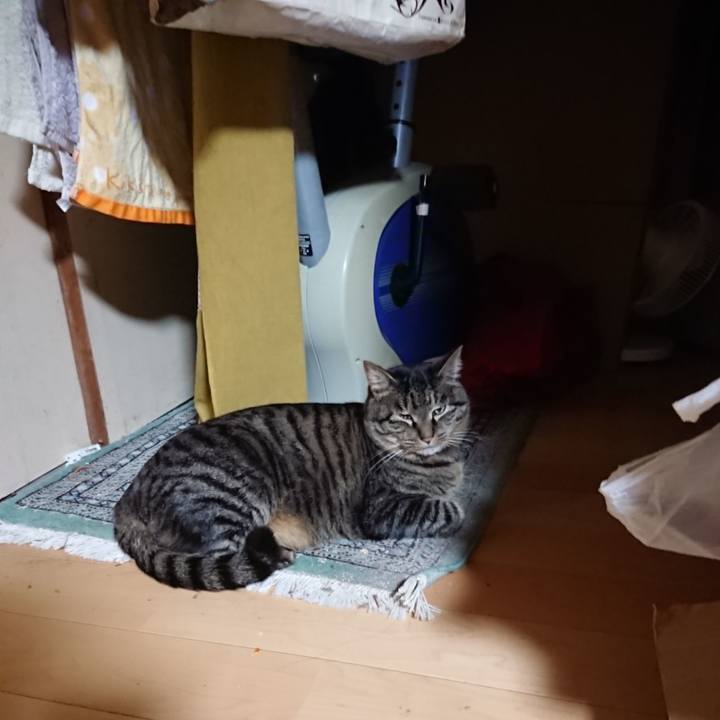 E951765d 0ac5 4f20 be79 de567fe302dc 1642590530196