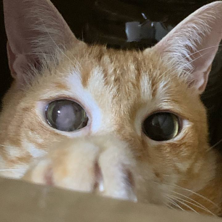 E9519315 d18f 49c4 9554 b2fabdb5c92a 1628083460039