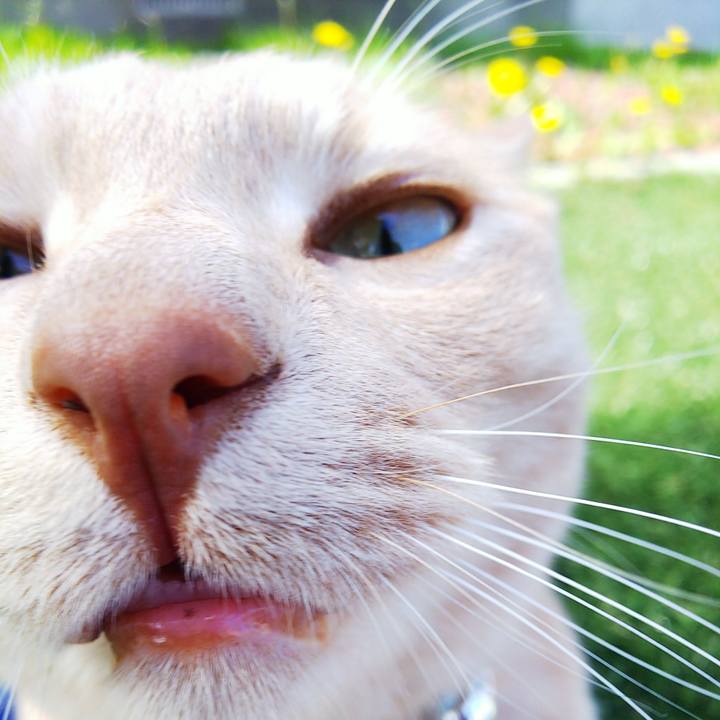 E951ad85 41d5 4506 bf81 daa7610bd0ac 1621314395158