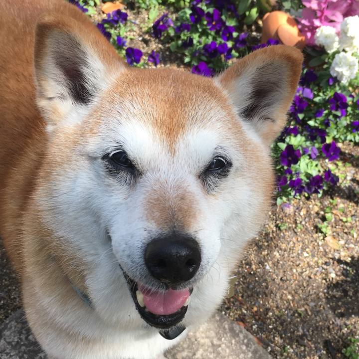 E952137d 1d5f 4c5f b5c8 164af924890d 1521772746348