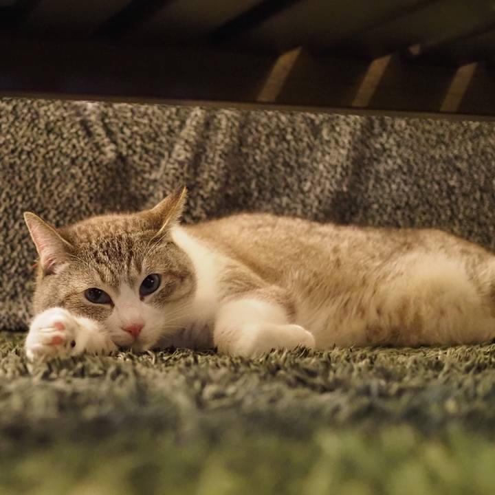 E9526349 8faa 42ee 9f97 45cbf62c5280 1624808043521