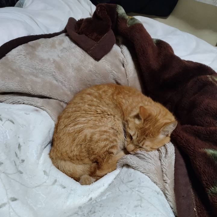 E9526b20 d4fe 4aaa 86c7 4364651bf543 1699183789019