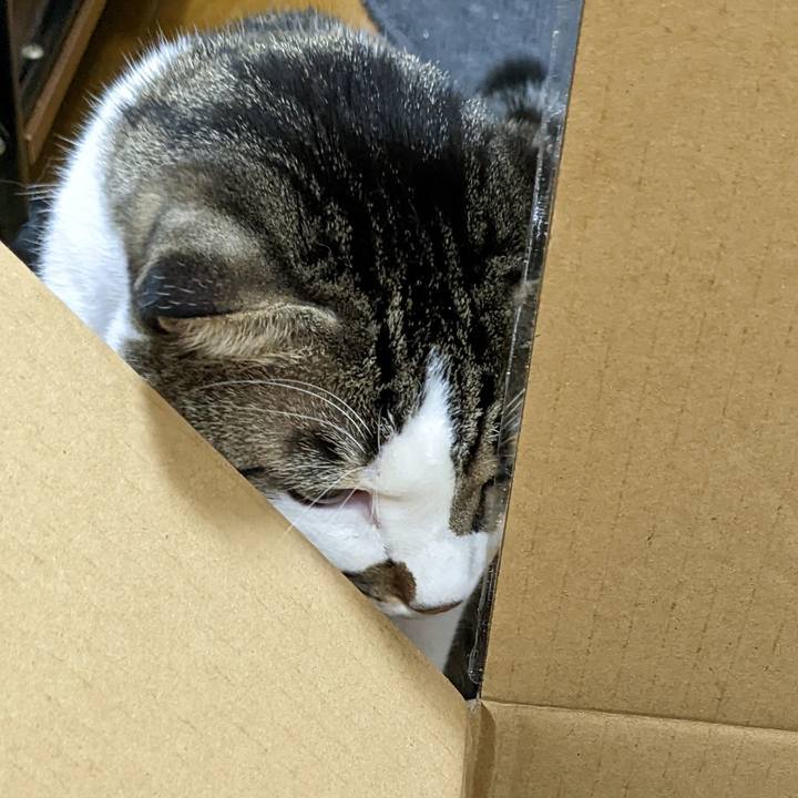 E9527b57 ba16 4ee0 91be e9b1e8ed156c 1668132711803