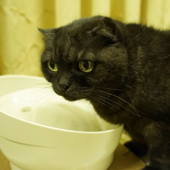 E9528414 f5be 4584 bcd2 0134efc5e035 1612794402342