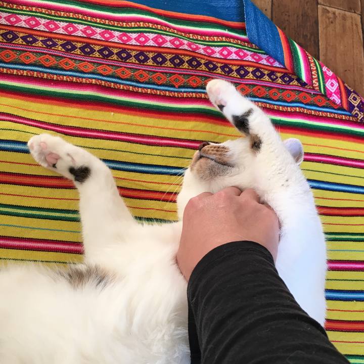 E9528ea3 b7bf 4277 b7ca 40c431f744cc 1515828226878