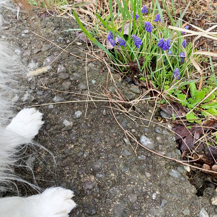 E95292b4 6392 4b2d 9f73 97c152123771 1585368254838