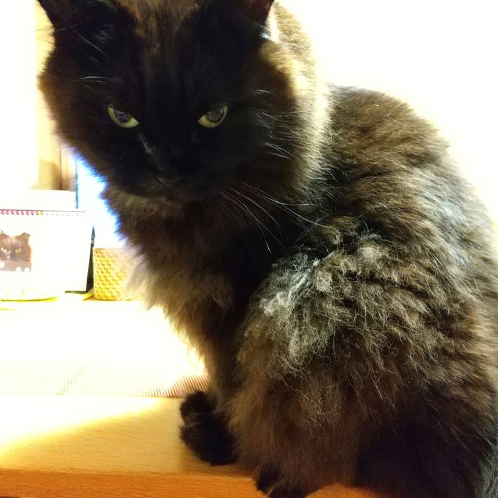 E9529666 b8f6 4a06 b82b 1a70d7a2f216 1617019667443