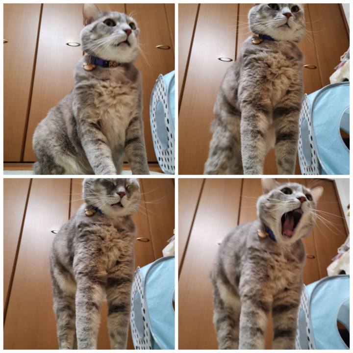 E952a749 e85f 48be 9d9b b29ea0ee52af 1614952022747