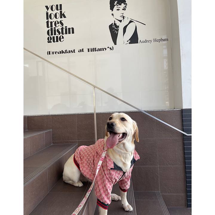 E952af58 bc09 4ff9 ae42 54d201831bf4 1646228108435